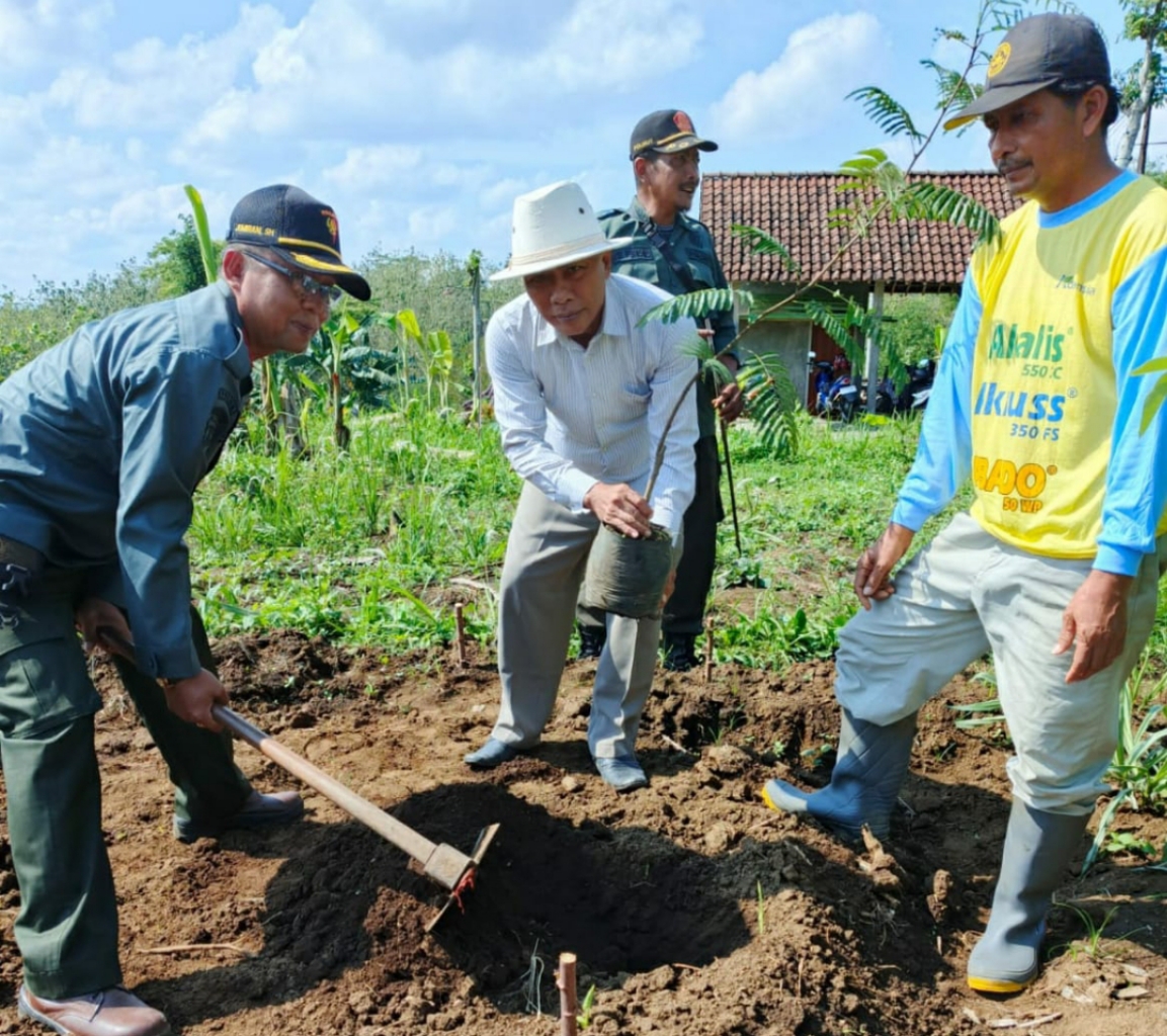 Perhutani BKPH Kesamben Sumbang Bibit Buah 500 Plances Kepada Masyarakat Sekitar Hutan