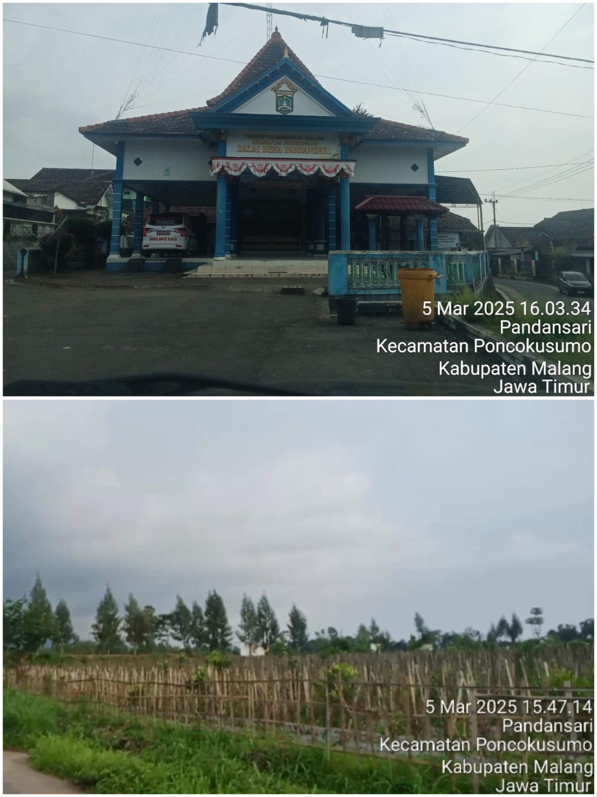 Dugaan Manipulasi Harga Sewa TKD Jauh dari Nilai Wajar di Desa Pandansari Kecamatan Poncokusumo